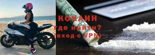ECSTASY Бородино