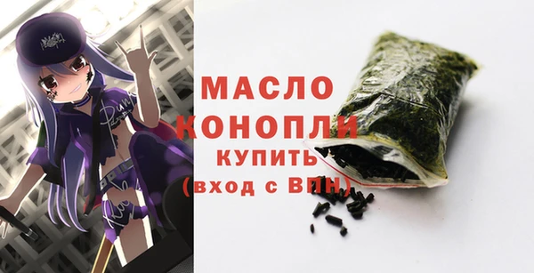 ECSTASY Бородино