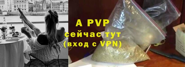 ECSTASY Бородино