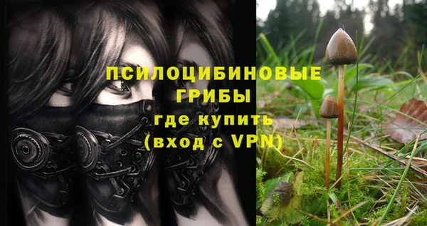 ECSTASY Бородино