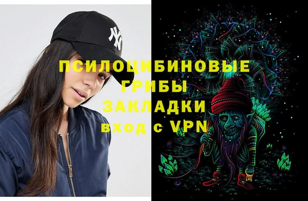 apvp Бронницы