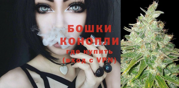 ECSTASY Бородино