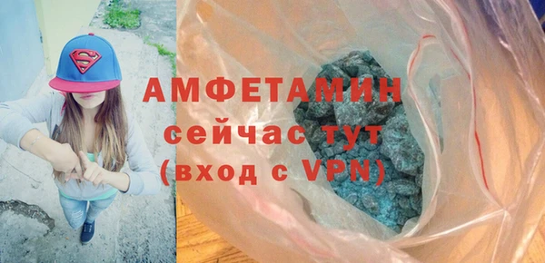 ECSTASY Бородино