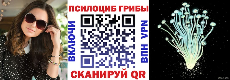 Псилоцибиновые грибы прущие грибы  гидра   Межгорье 
