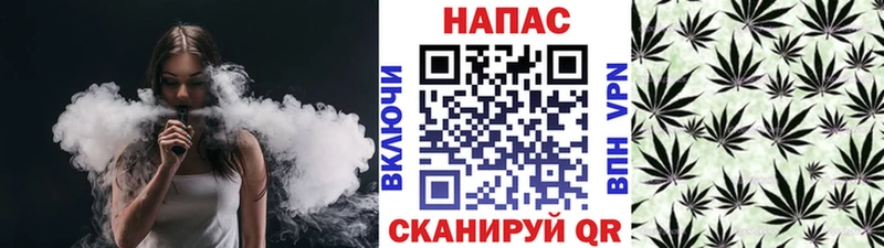 Бошки марихуана Amnesia  где можно купить   Межгорье 